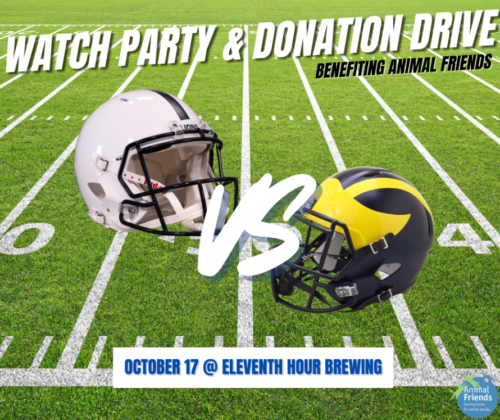 Watch Party & Donation Drive
